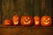 pumpkins